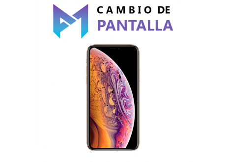 Cambio de Pantalla iPhone Xs