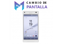 Cambio de Pantalla Sony...